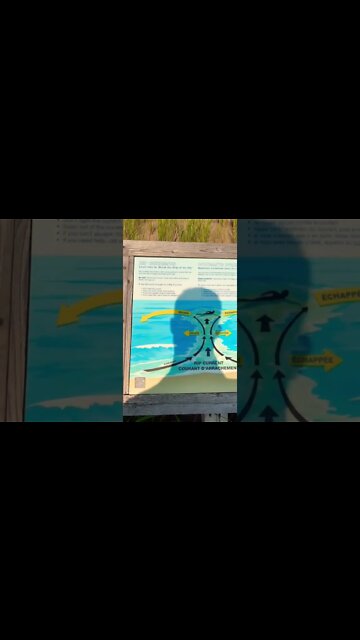 How to escape a rip current