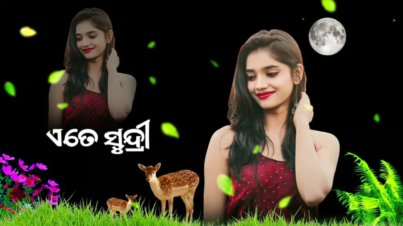 manar maina new odia trending song _ manar maina sambalpur song ।।