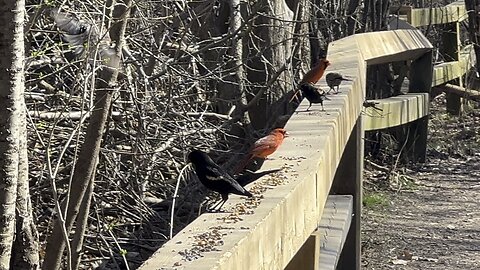 James Gardens residents