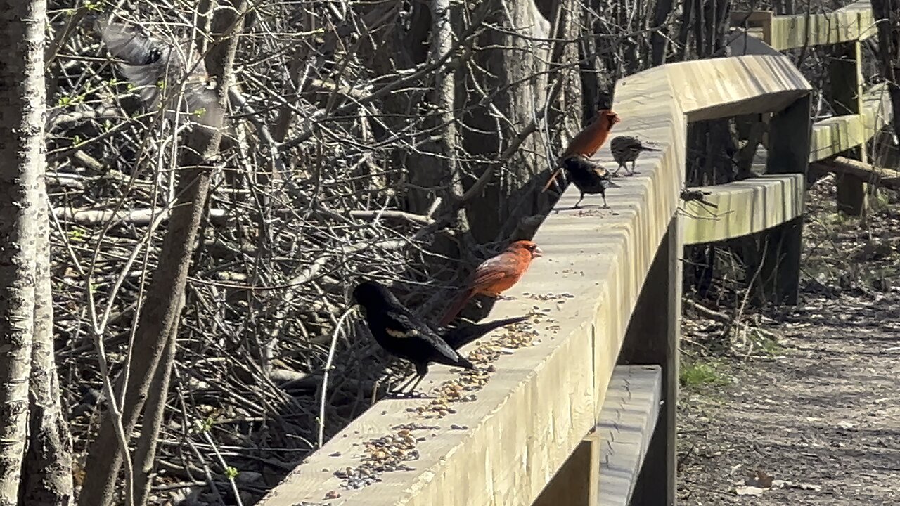 James Gardens residents