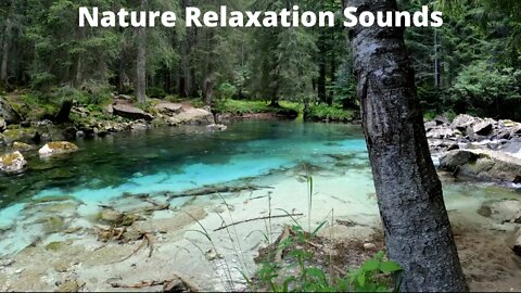 Nature Relaxation Sounds / Sound of a Mountain River and Forest Birds Singing