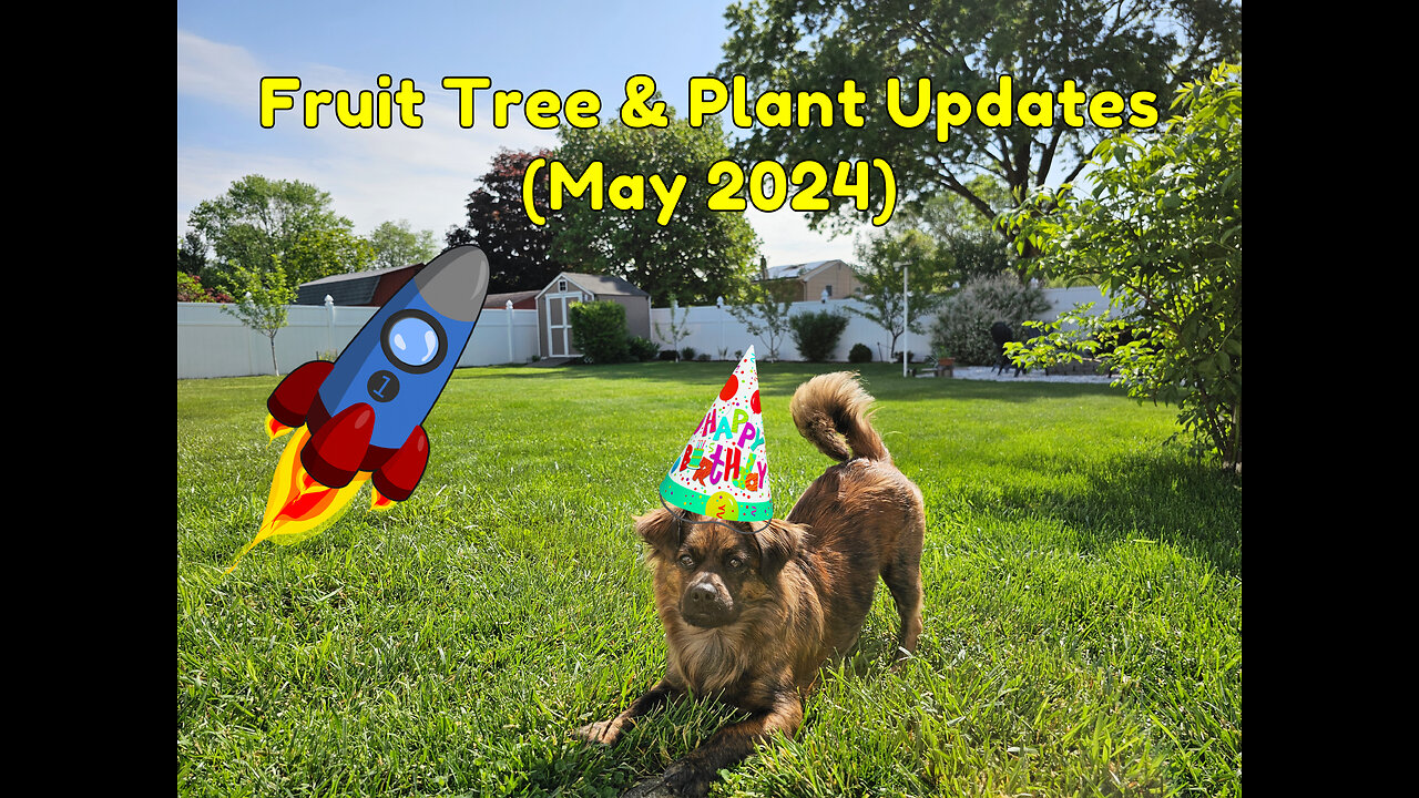 Fruit Tree & Plant Updates (May 2024)