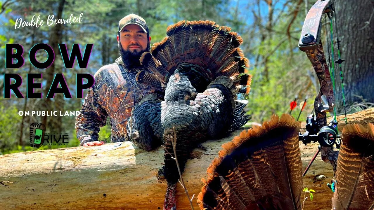 Trev Reaps a Turkey at 5 YDS! | Day 4