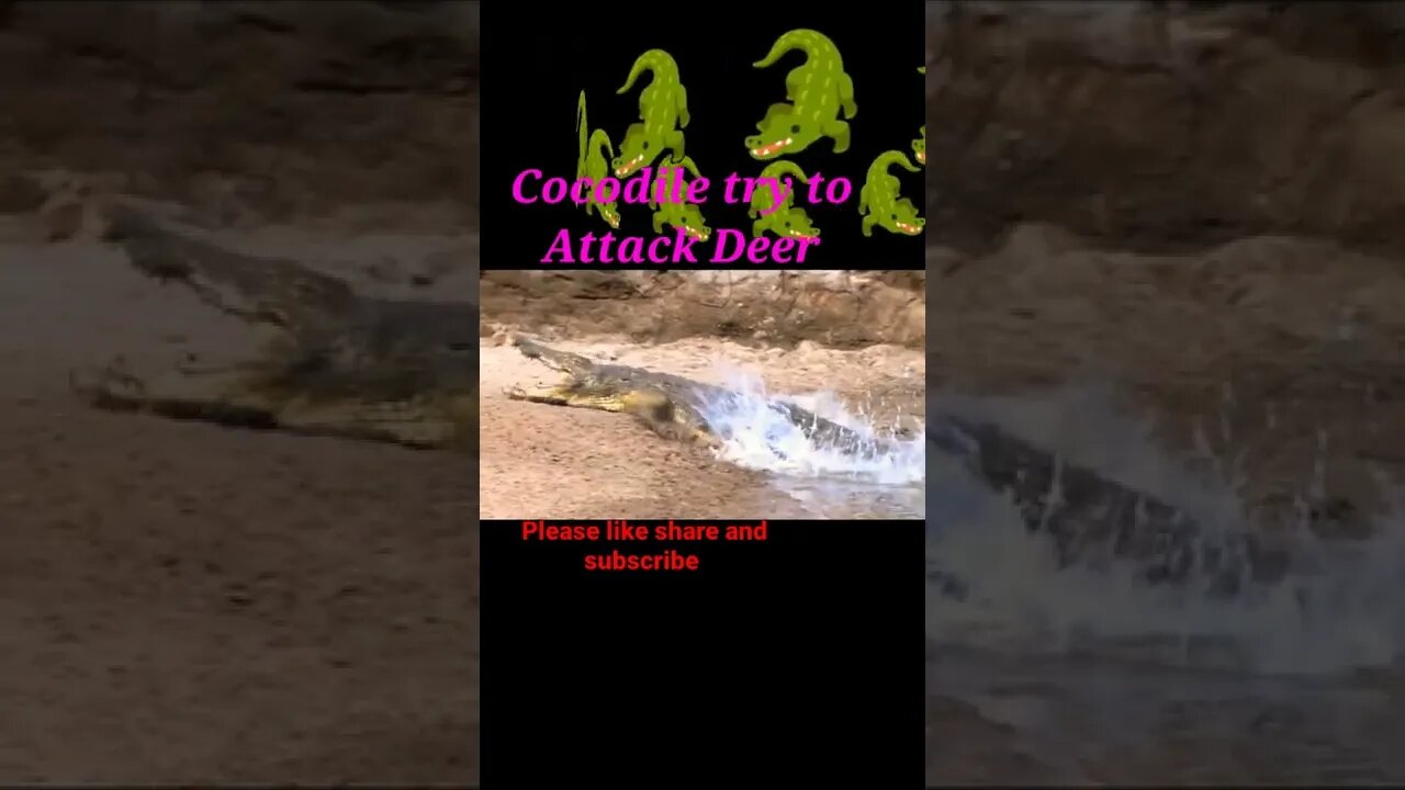 Cocodile try to attack Deer #youtubeshorts #shorts #shortvideo