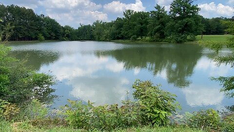 Looking At the Lake