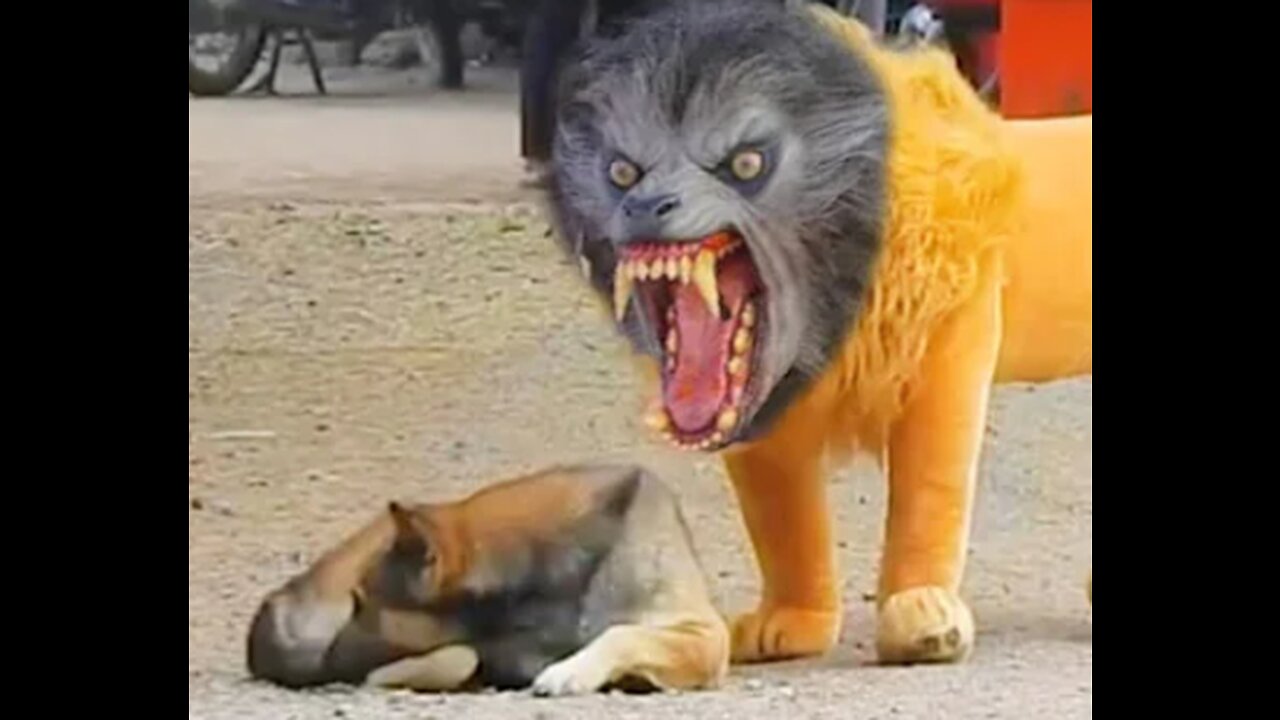 Hilarious FAKE TIGER Prank on Dog - Must Watch!