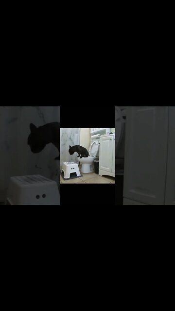 What a smart boy 🤩🧠. #shorts #shortsfeed #clips #shortvideo