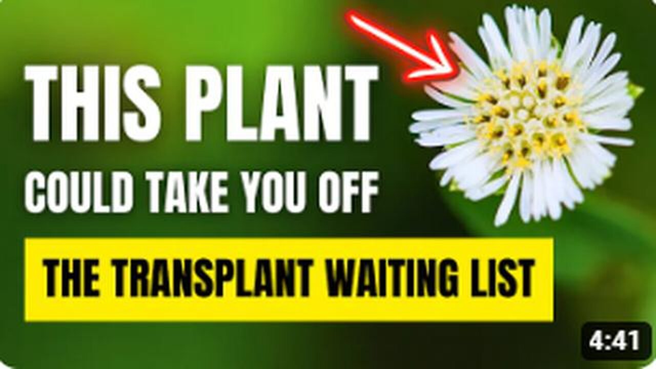 Treat Your Kidneys, Liver, and Diabetes with Just 1 Plant!