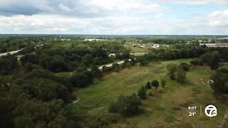 Destruction of rare wetland on hold after court issues new order in Van Buren Township case