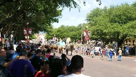 Fort Worth Stockyard Cattledrive