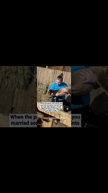 When the punk rock chick you married... #shorts