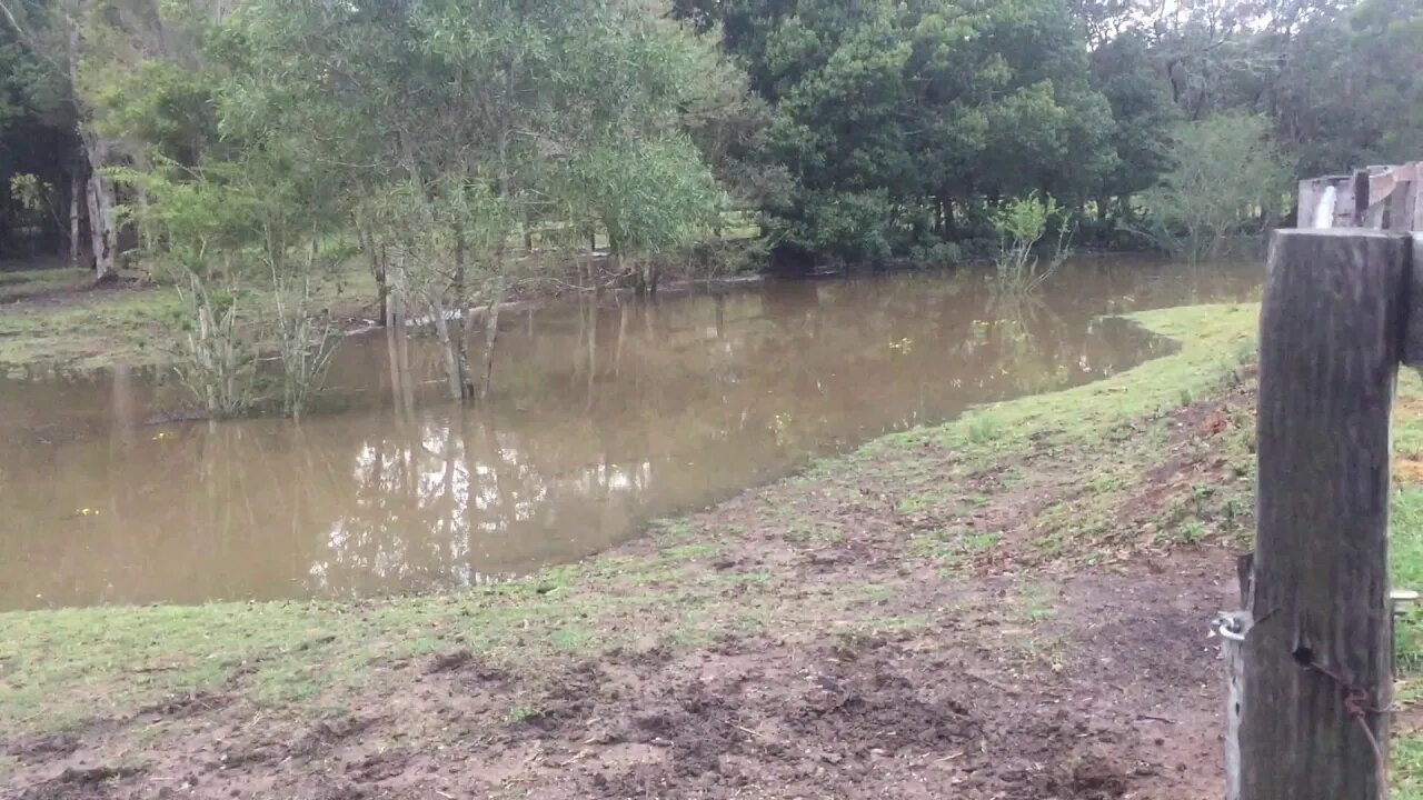 Tuppy's paddock flooded in the rain. This is when is has subsided somewhat.