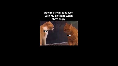 Me Trying to Reason with my Girlfriend