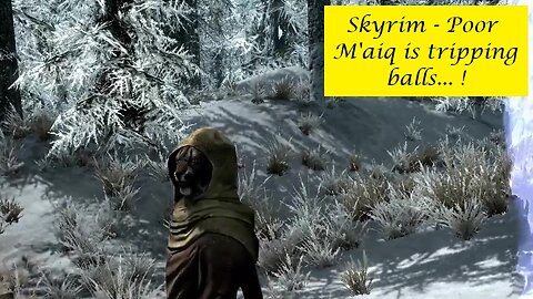 Skyrim - M'aiq is Tripping Balls !