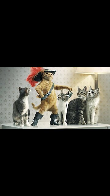 Funniest Cats Video 2023 😁 - Try Not To Laugh Challenge #cuteness #animals #trending