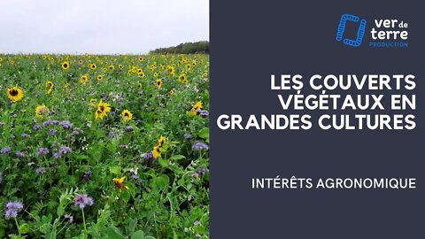 La Galerie du VDT - 1/7 - Les couvert végétaux en grandes cultures : Intérêts agronomiques