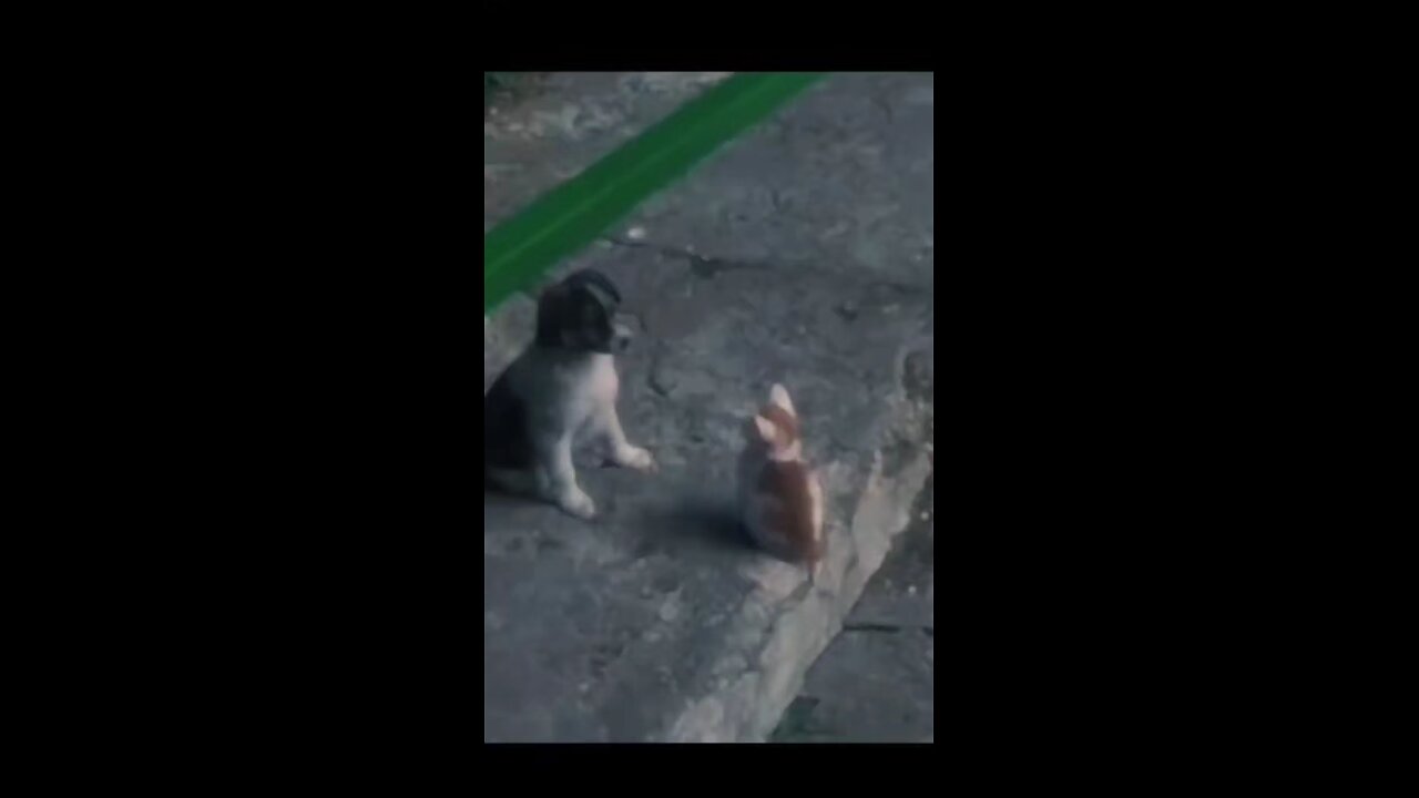 😂 😂 😂 😂 😂 😂