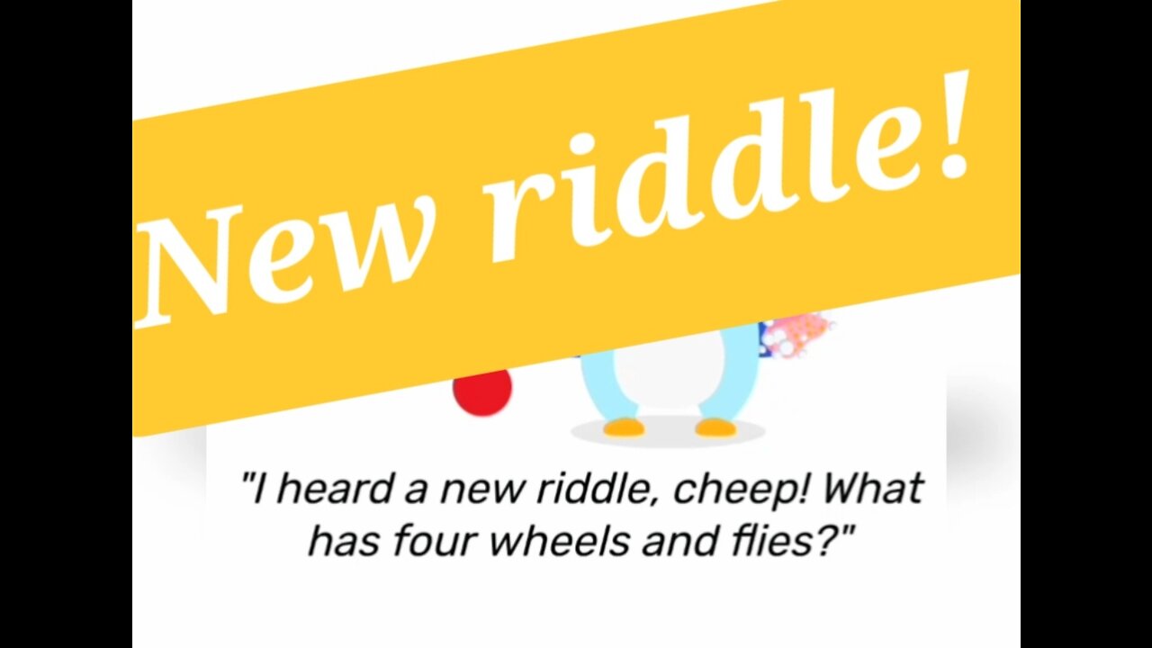Mypetfinchapp: New riddle!