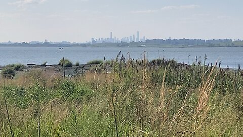 NYC National Parks: West Pond Trail @ Jamaica Bay Wildlife Refuge (Broad Channel, Queens) 2