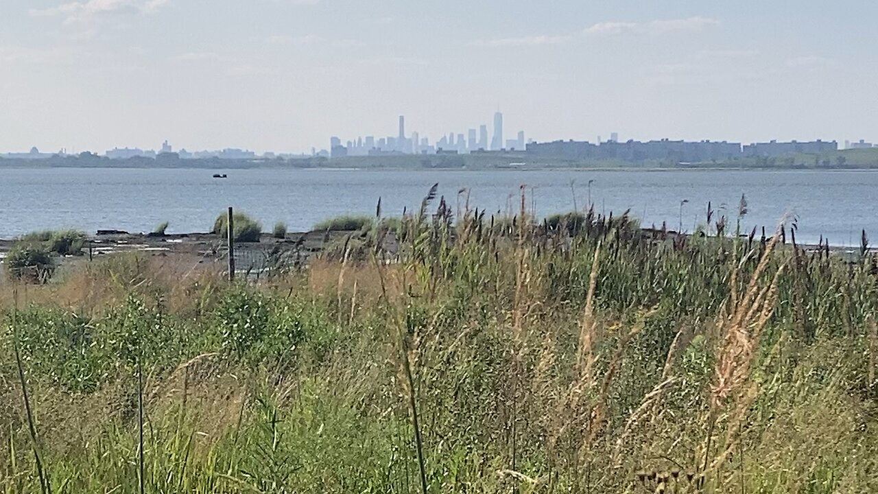 NYC National Parks: West Pond Trail @ Jamaica Bay Wildlife Refuge (Broad Channel, Queens) 2