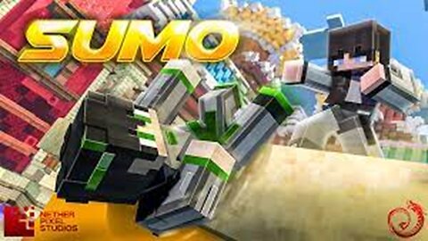 Who's better at w tapping?🤔(Minecraft Sumo)