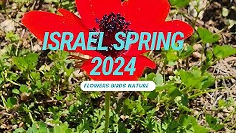 ISRAEL SPRING 2024