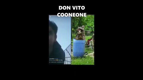 Don Vito Cooneone