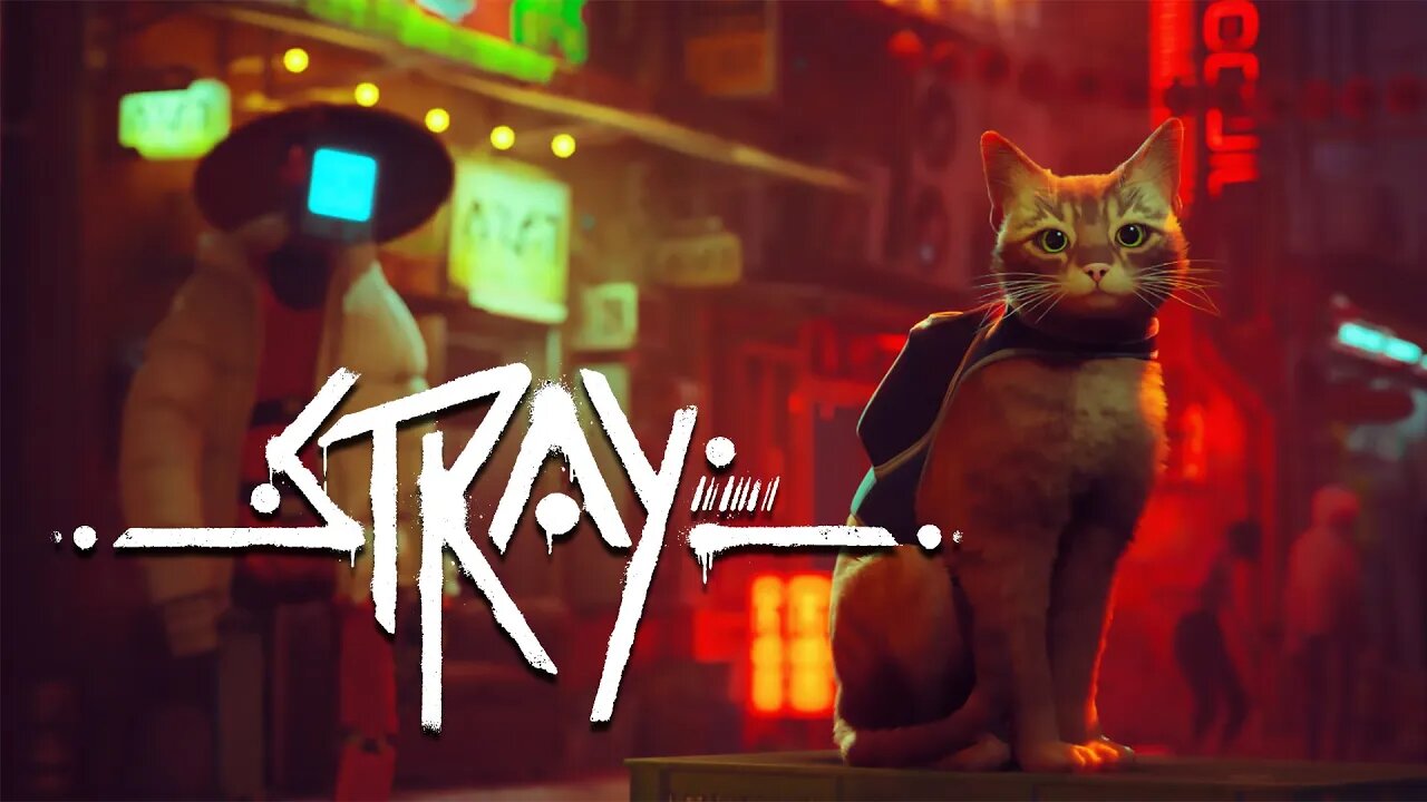 Stray | Living Life as a Cat