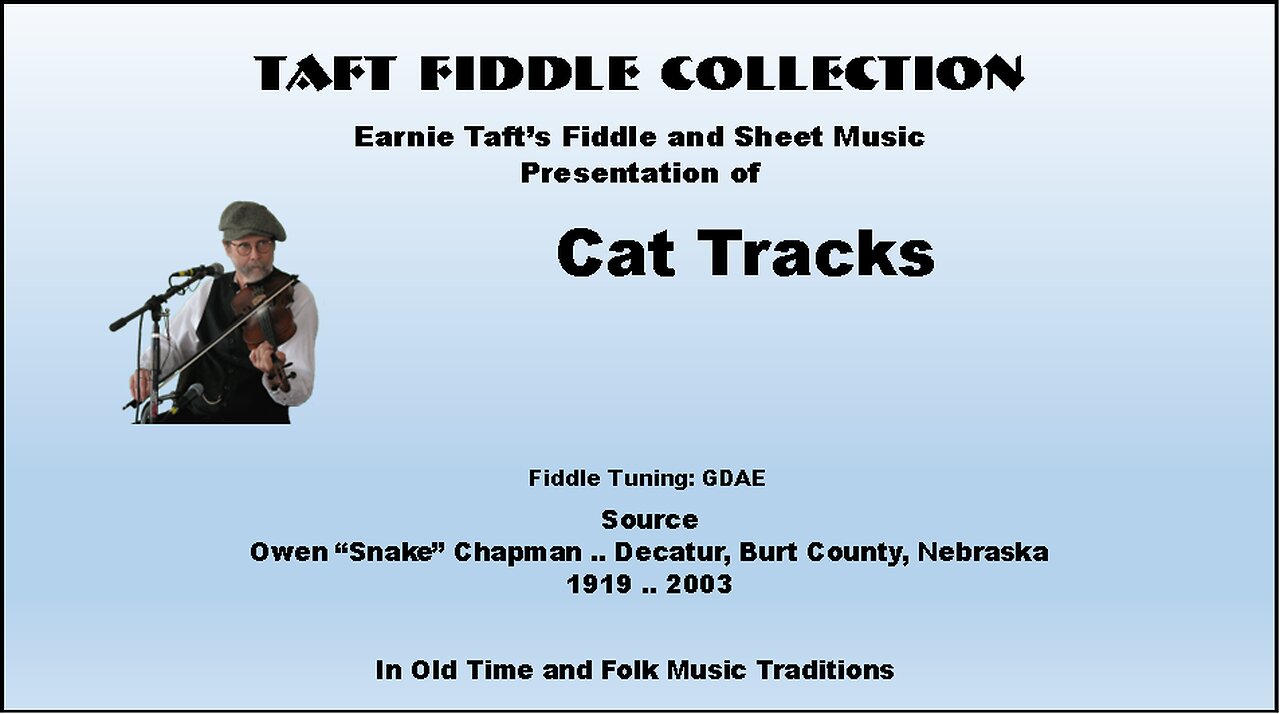 Cat Tracks