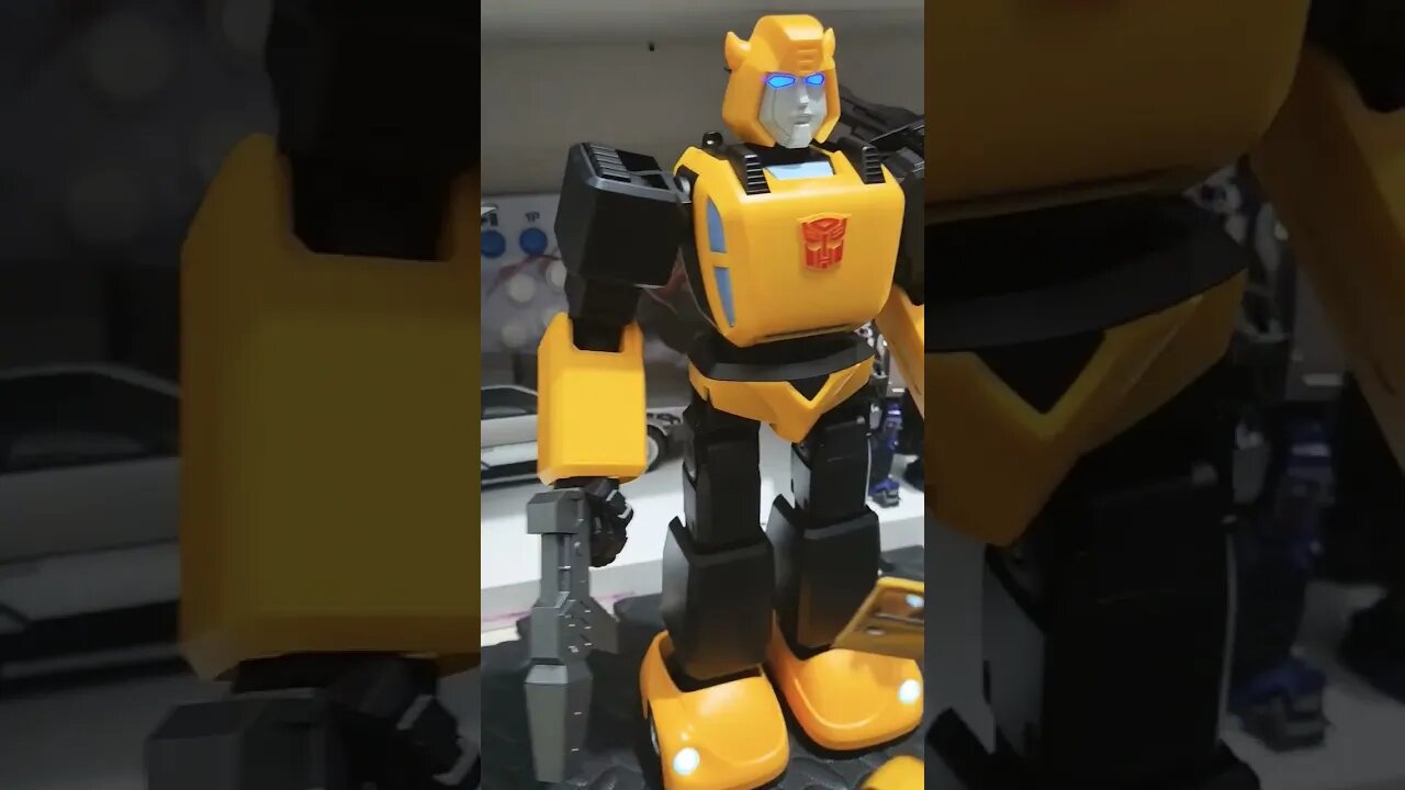 Bumblebee Robosen size comparison #transformers #bumblebee #shorts