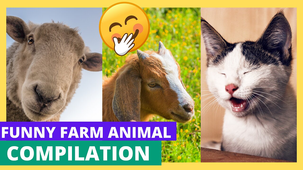 The Most Hilarious Farm Animals Ever! | Nonstop Laughter Guaranteed! |