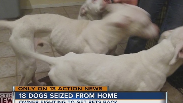 Dog rescuer under investigation for animal cruelty