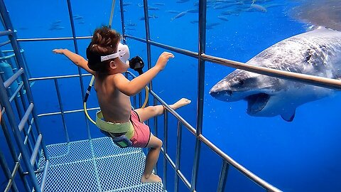 5 YR OLD Scuba Dives with GREAT WHITE SHARKS in Mexico!!