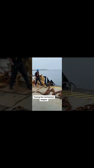 #shorts #2022 funny,prank,funjokes,dad jokes,funny memes,funny video,fun,laughing,funny animal,knock