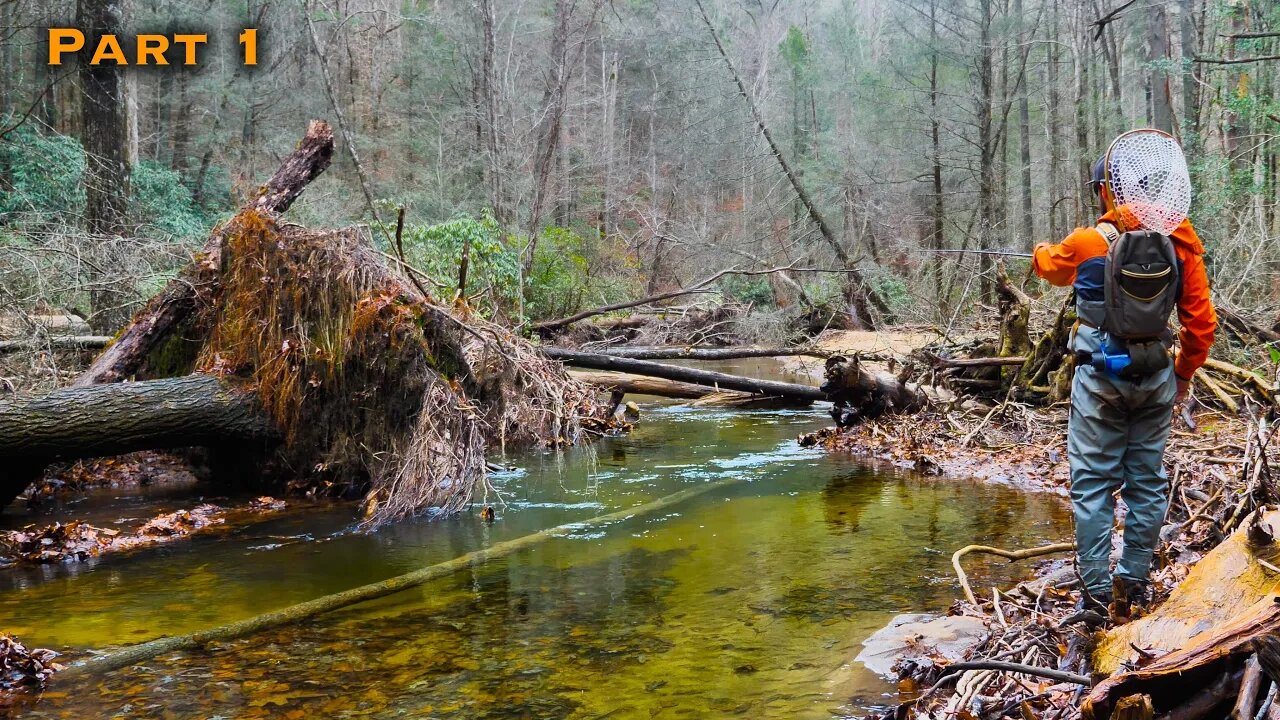 Fly Fishing Crystal Clear Water for BIG Trout! (North Georgia Pt 1 of 2)