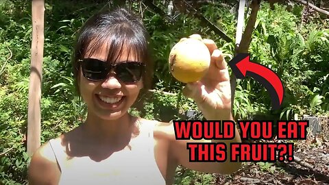 We found this WEIRD Fruit on Koh Phangan