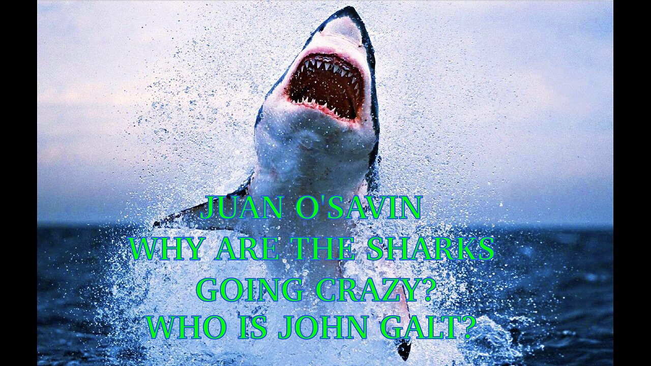 JUAN O'SAVIN WHAT IS HAPPENING TO THE OCEANS? SHARKS GOING CRAZY. TY JGANON, SGANON