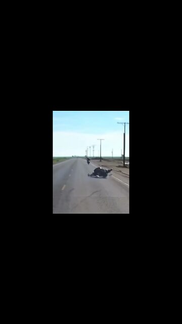 Pop A Wheelie Fail #shorts #dashcams #fails #biker #bike