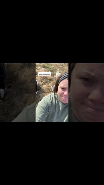 Boom, puppy. #shorts