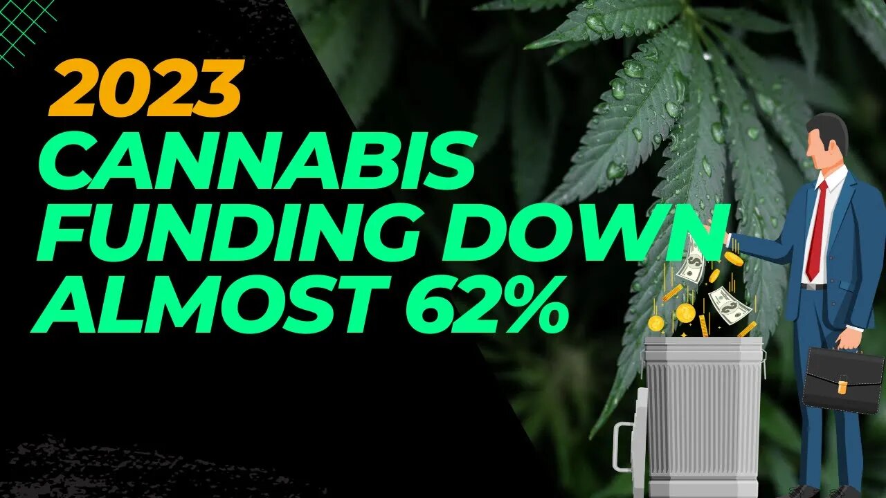 Cannabis Funding Deals Hit a Rough Patch in 2023 | High at 9 News Analysis