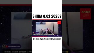 Shiba 0.01 2025?