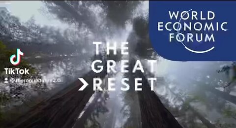 Do You See What I See? (The Great Reset)