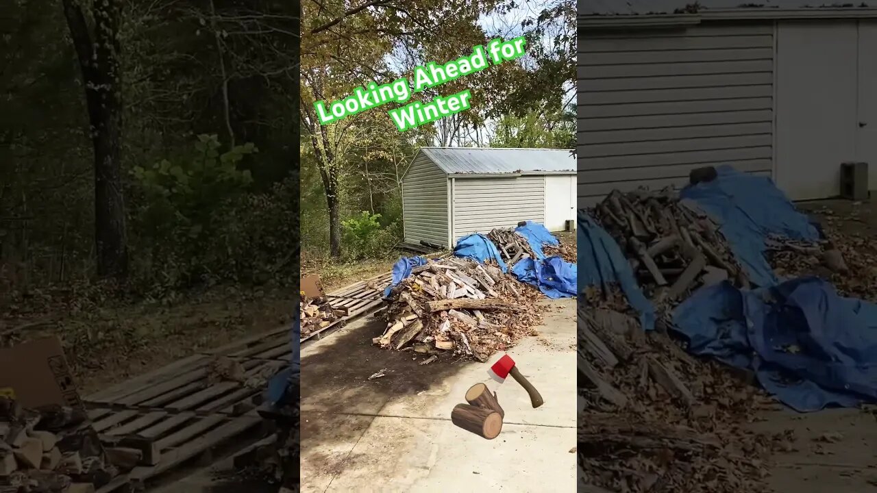  In the Heart of Winter: Firewood Essentials for Heat. #firewood, #winter #prepperboss