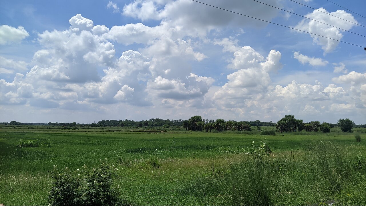 Bike Riding in beautiful nature