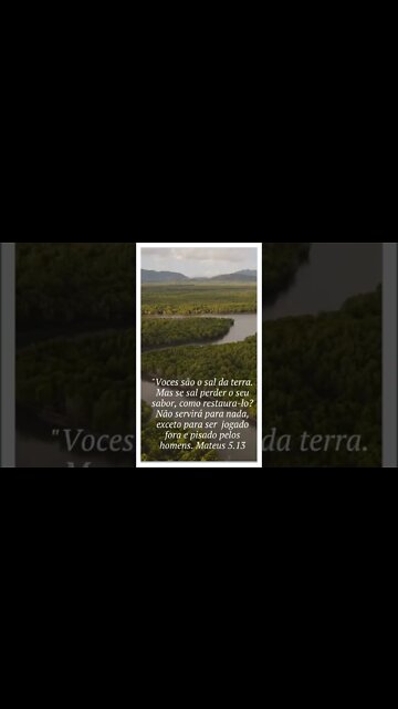 VERSÍCULO DO DIA 06/092022.#shorts.