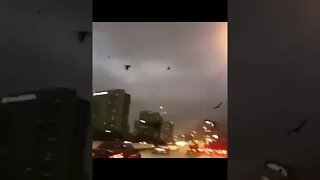 21 de março de 2022