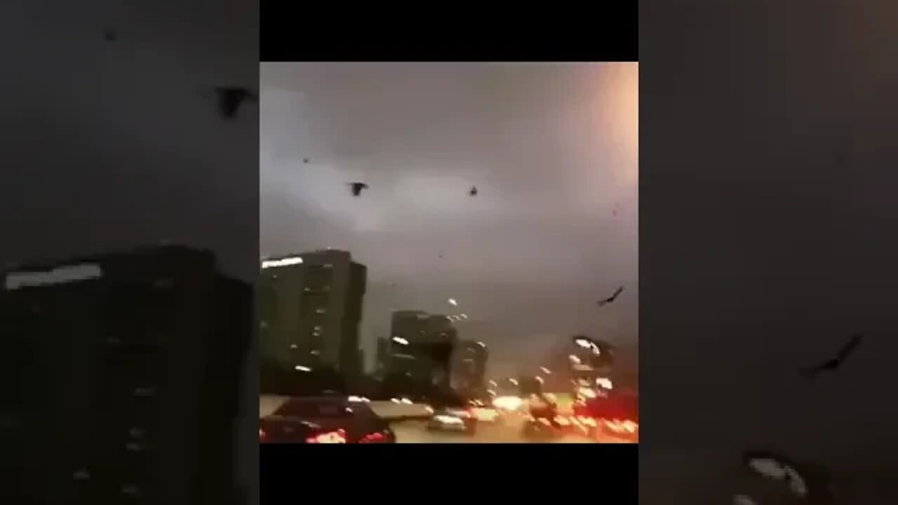 21 de março de 2022