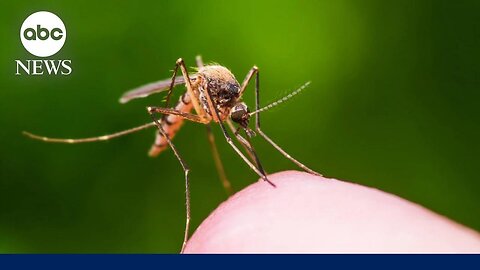 Concerns over West Nile and ‘Triple E’ viruses grow