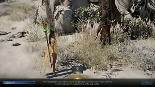 Lost Ark MMORPG Smooth the Path