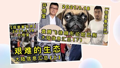 KWT892(890,891)艰难的生态-大陆信息汇总(上)袁腾飞徐晓东论哈巴狗-大陆信息汇总(下)20210118-9【悟里看世界】